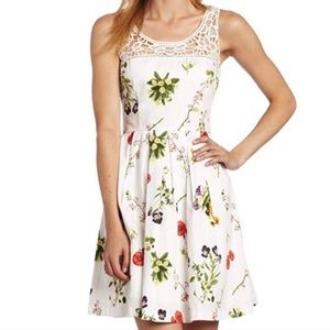 BB Dakota Embroidered Sun Dress NWT Sz 4